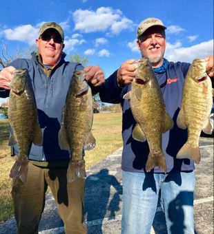 Smallmouth Bass Famous Alabama